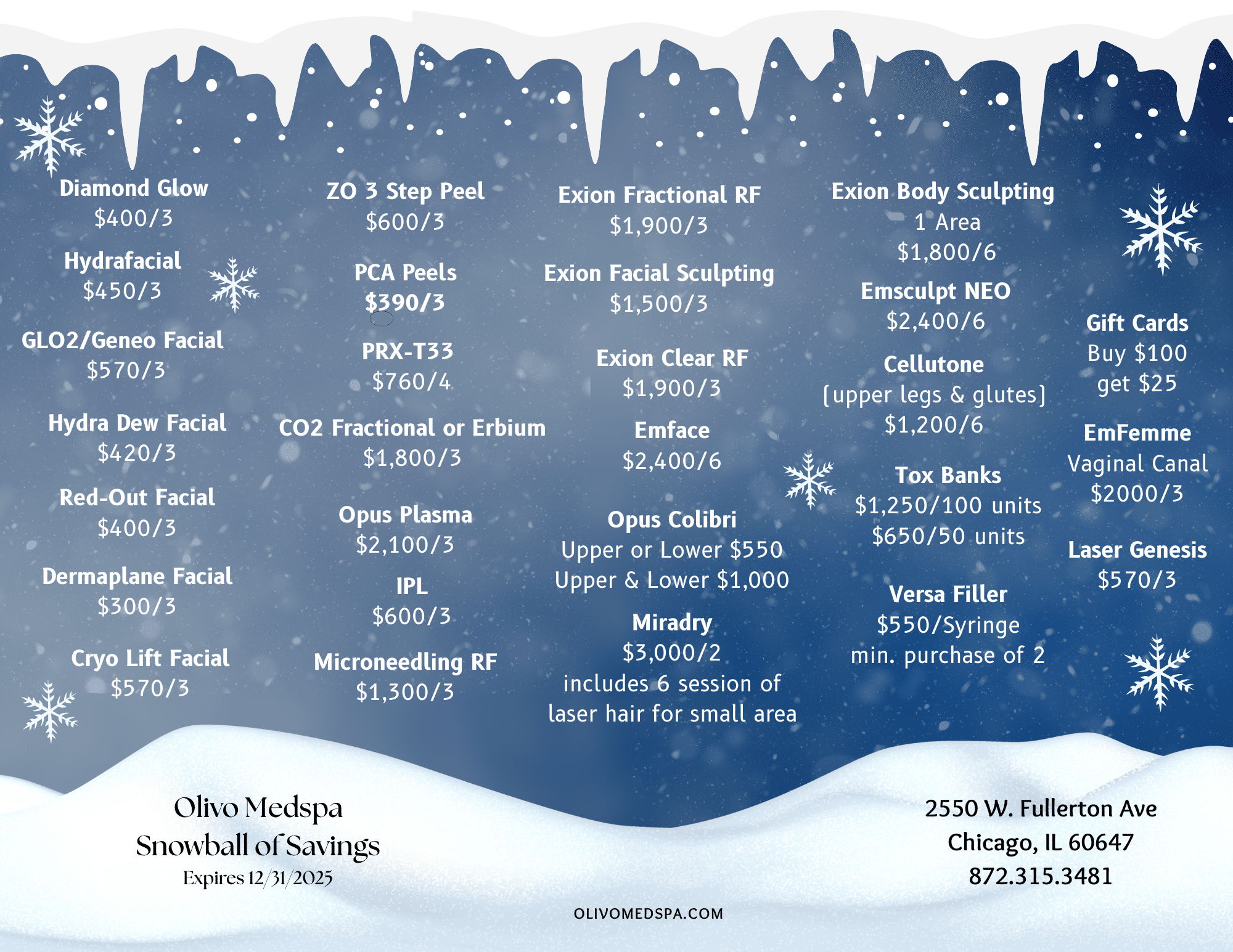 Snowball of Savings 2025